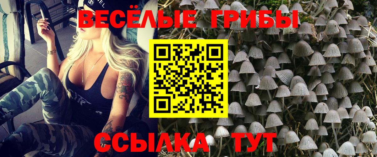 Псилоцибиновые грибы мухоморы Волжск