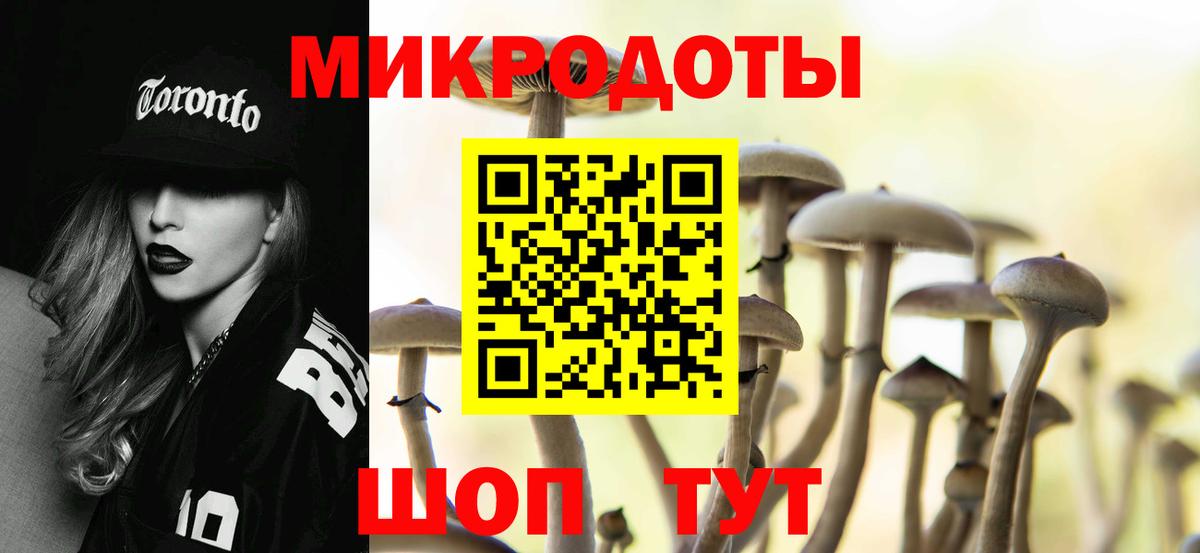 Псилоцибиновые грибы Psilocybine cubensis  Вход с VPN  Волжск 